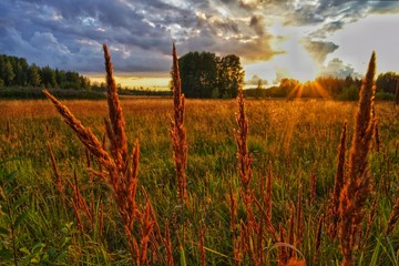 Fields in autumn evening in sunset time