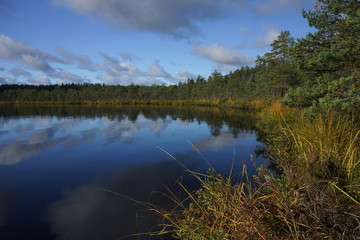 Beautiful lake scenery