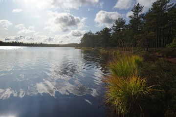 Beautiful lake scenery