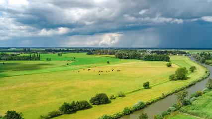 Aerial drone view of green fields and farm houses near canal from above, typical Dutch landscape,...