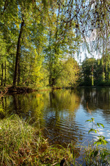 Fototapeta na wymiar reflection in the water of trees and bright foliage. natural landscape of early autumn in a quiet beautiful city park