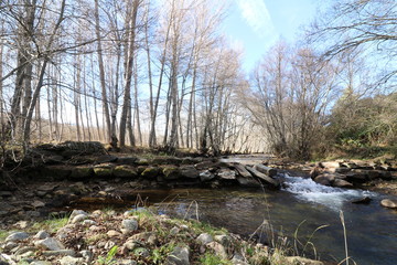 PAISAJE DE RIBERA EN INVIERNO CON LOS ÁRBOLES BORDEANDO EL RÍO