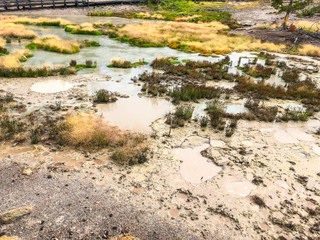 Mud Volcano and Sulfur Cauldron