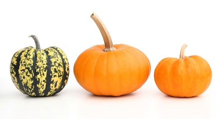 Pumpkins.