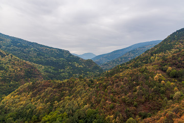 Obraz premium Autumn landscape view in Rhodope Mountains with green, yellow and orange leafs 
