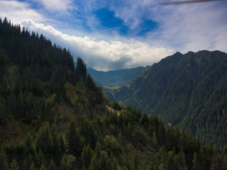 Obraz premium Forest mountain