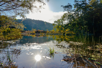 Sunshine tranquility