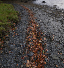 The River Lerryn Cornwall at low tide