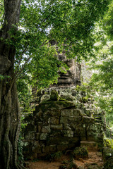 Ancient religion temple with giant tree growing on the top in temple complex Cambodia 