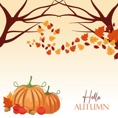 hello autumn season with branches and pumpkin scene