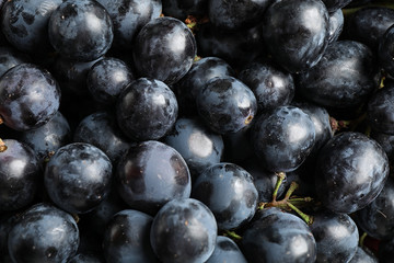 Fresh ripe juicy black grapes as background, closeup view