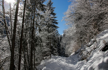 Paysage de neige dans la vallée de l'Oisans dans les Alpes françaises