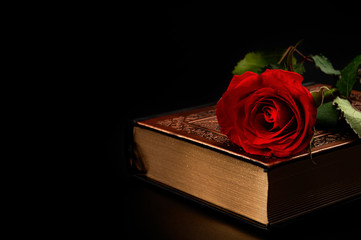 Poetry manuscript, dark fantasy and romantic literature conceptual idea with red rose on a vintage...