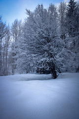 Paysage de neige dans la vallée de l'Oisans dans les Alpes françaises