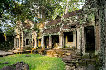 Fototapeta na wymiar Ancient religion temple with giant tree growing on the top in temple complex Cambodia 
