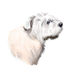 Glen of Imaal Terrier dog breed digital art illustration isolated on white. Popular puppy portrait with text. Cute pet hand drawn portrait. Graphic clip art design.