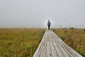 Obraz premium 秋の高原・木道を歩くハイカー