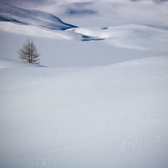 paysage d'hiver à l'Alpes d'Huez dans les Alpes françaises