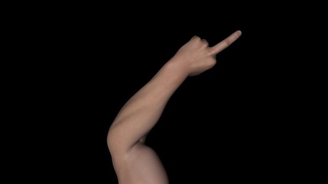White male hand pointing middle finger. Back view. Realistic 3D animation loop with alpha channel isolated on transparent background for individual and crowd social scenes in music, sport, politics.