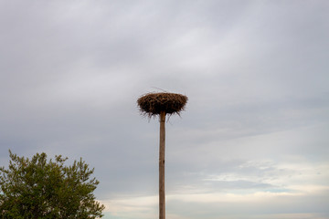 Fototapeta premium Nice views of the storks nests in the freshwater lake.El Pla d'Urgell, Catalonia, Ivars Vilasana Lagoon