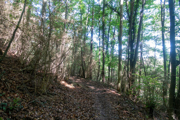 The ter route through the interior of Girona