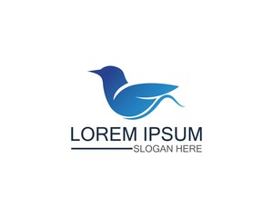 Bird logo template design vector, concept creative icon