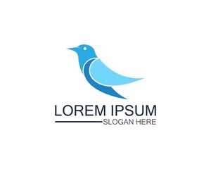 Bird logo template design vector, concept creative icon