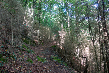The ter route through the interior of Girona