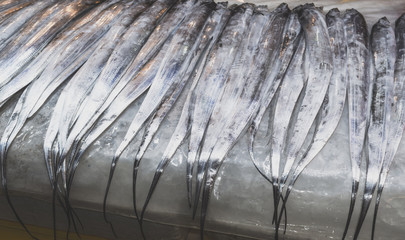 hairtail fish on display for sale at Jeju Dongmun market