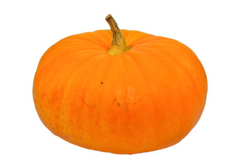 Large orange pumpkin on isolated background