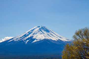 Autumn Season and Mountain Fuji 