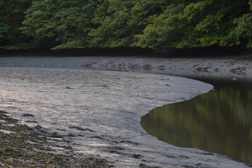 The River Lerryn Cornwall at low tide