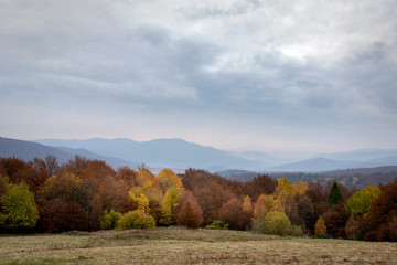 Fototapeta premium autumn landscape with trees and blue sky in the mountains.