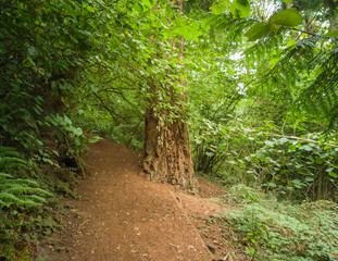 Gloriously motley photos of marvelous King County's Mercer Slough Nature Park in Bellevue, Washington