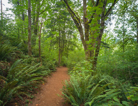 Gloriously motley photos of marvelous King County's Mercer Slough Nature Park in Bellevue, Washington