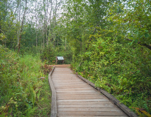 Fototapeta premium Gloriously motley photos of marvelous King County's Mercer Slough Nature Park in Bellevue, Washington
