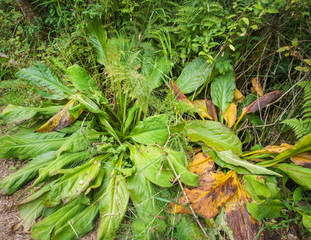 Gloriously motley photos of marvelous King County's Mercer Slough Nature Park in Bellevue, Washington