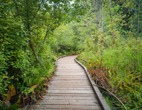 Gloriously motley photos of marvelous King County's Mercer Slough Nature Park in Bellevue, Washington