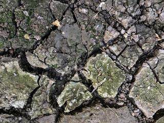 cracked of dry clay ground surface background,  soil texture. 