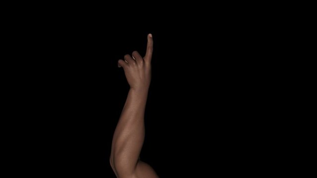 Index fingure pointing up. Realistic 3D animation loop with alpha channel isolated on transparent background for individual and crowd social scenes in music, sport, politics.