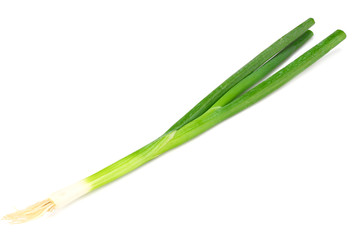 Obraz na płótnie Canvas green onion isolated on a white background