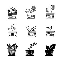 Home plants set on white background