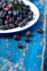 fresh blueberries in a metallic bowl