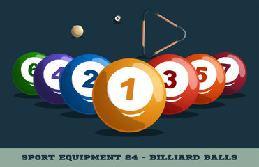 Vector billiard balls icon. Game equipment. Professional sport, classic ball for official competitions and tournaments. Isolated illustration