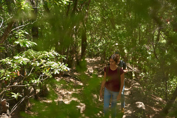 Fototapeta premium Young, attractive lady walks among trees