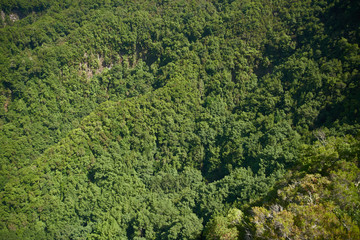 Aerial view of a valley in the mountains