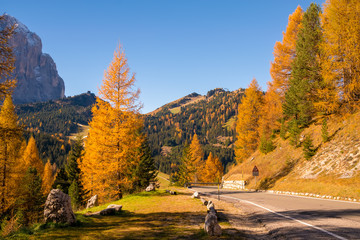 Scenic roadway in Dolomite Alps with beautiful yellow larch trees and mountains on background