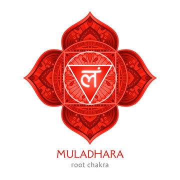 Muladhara, root chakra symbol. Colorful mandala. Vector illustration