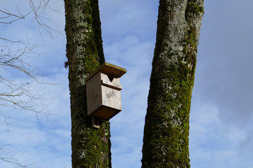 A wooden bird feeder in a park among trees with yellow fall foliage. Autumn background.