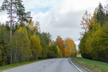Fototapeta premium Autumn scene with winding asphalt road in the countryside. 